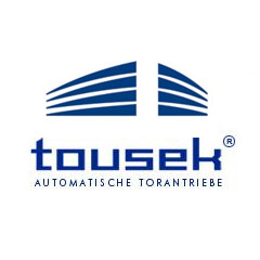 TOUSEK Remote control